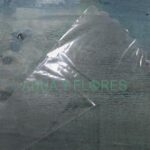 Manga Transparente Tipo Crisantemo 54X31X10cm 50 Unidades