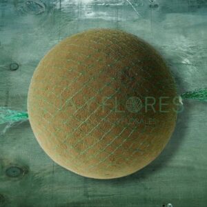 Esfera De Espuma Floral 20 cm 1 Unidad
