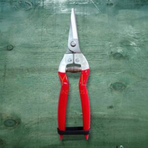 Tijera Punta Mango Rojo