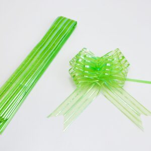 Moño Mágico 5x77cm Verde Pistacho 10 Uds