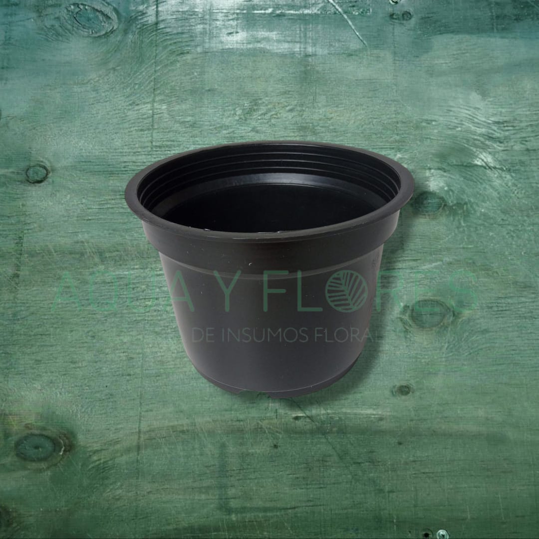 Base Vaso Con Borde Grande N°10 - 100 unids