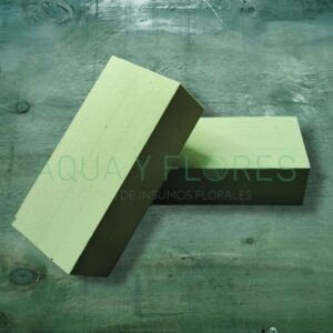 Espuma Floral Aqua Bloque 1 Unid.