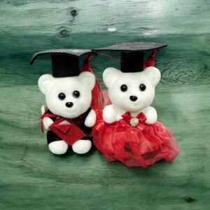 Osito Graduación Plumavit 5 Unid. Surtidos