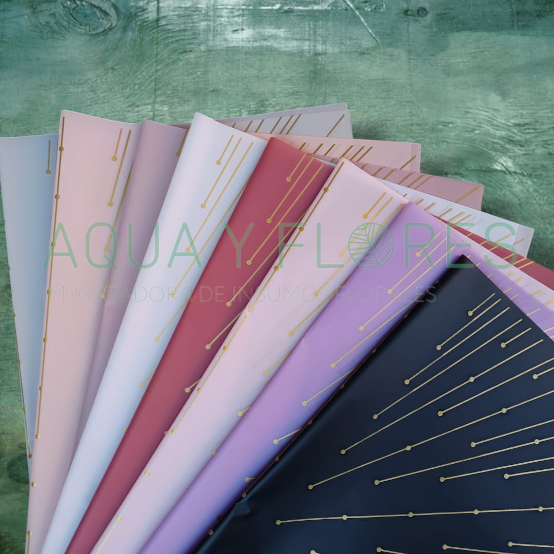 Papel Coreano Diseño Líneas Doradas 20 pliegos 57x56cm