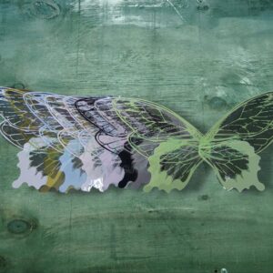 Alas de Mariposa Plástica Transparente Diseño Color (20 Alas Grandes 20 Alas Chicas)