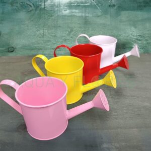 Regadera Lisa Colores