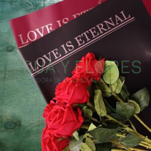 Papel Coreano Sólido "Love is Eternal" 20 pliegos 57×56 cm