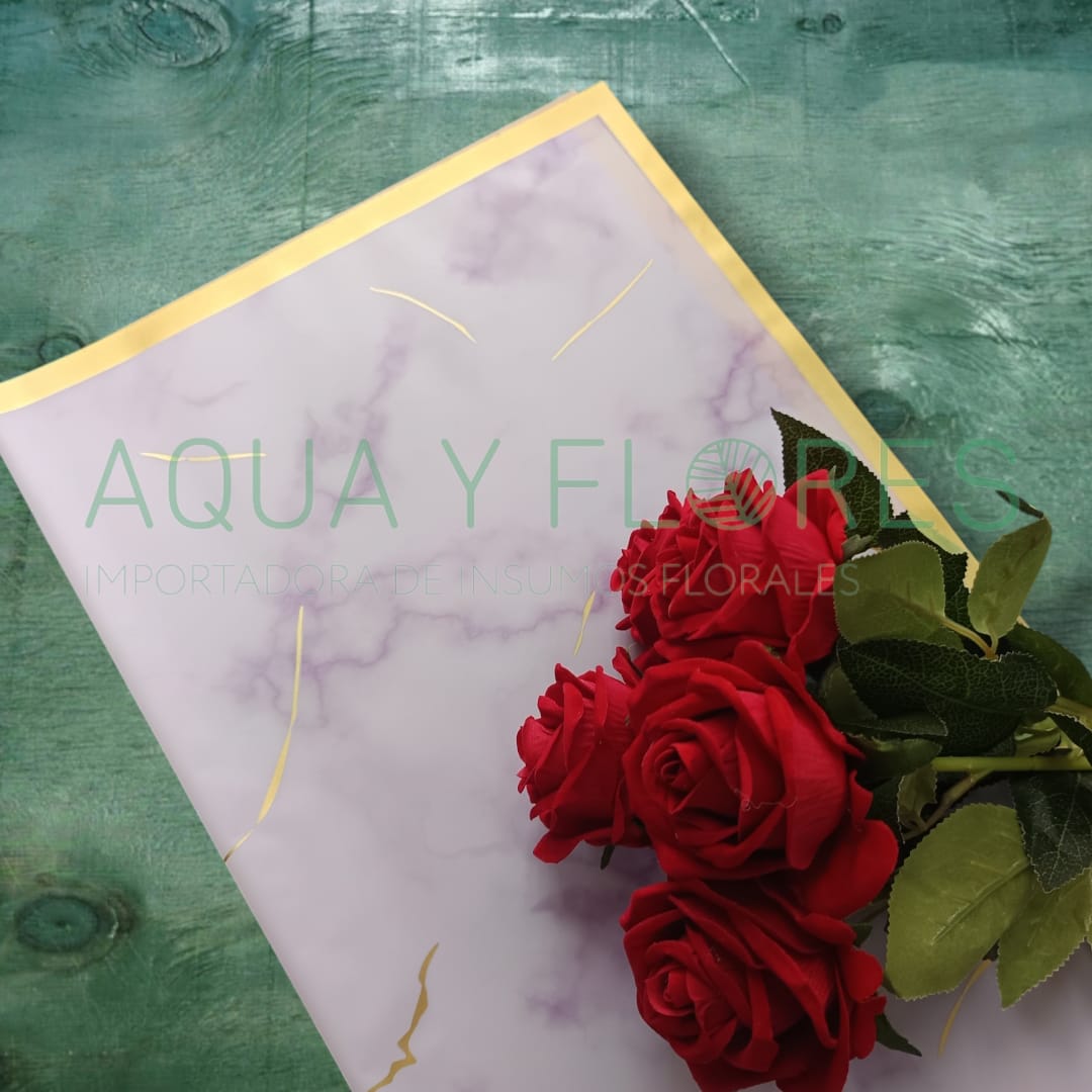 Papel Coreano Humo Borde Dorado 20 pliegos 57x56cm - Imagen 2