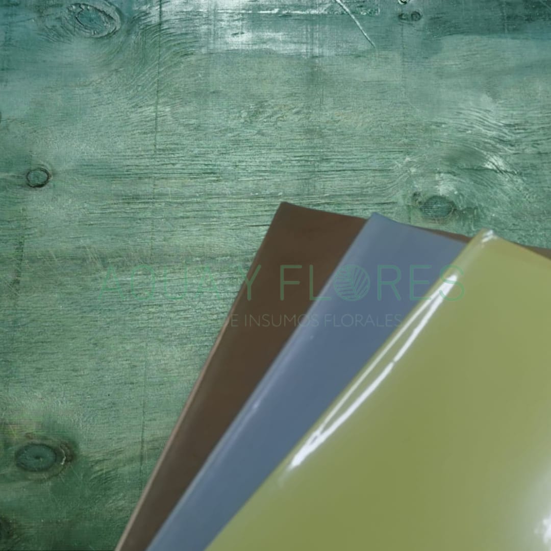 Papel Coreano Liso Transparente 20 pliegos 57x56cm