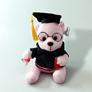 Peluche Oso Graduación 25 Cms. Unidad