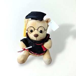 Peluche Oso Graduación 25 Cms. Unidad