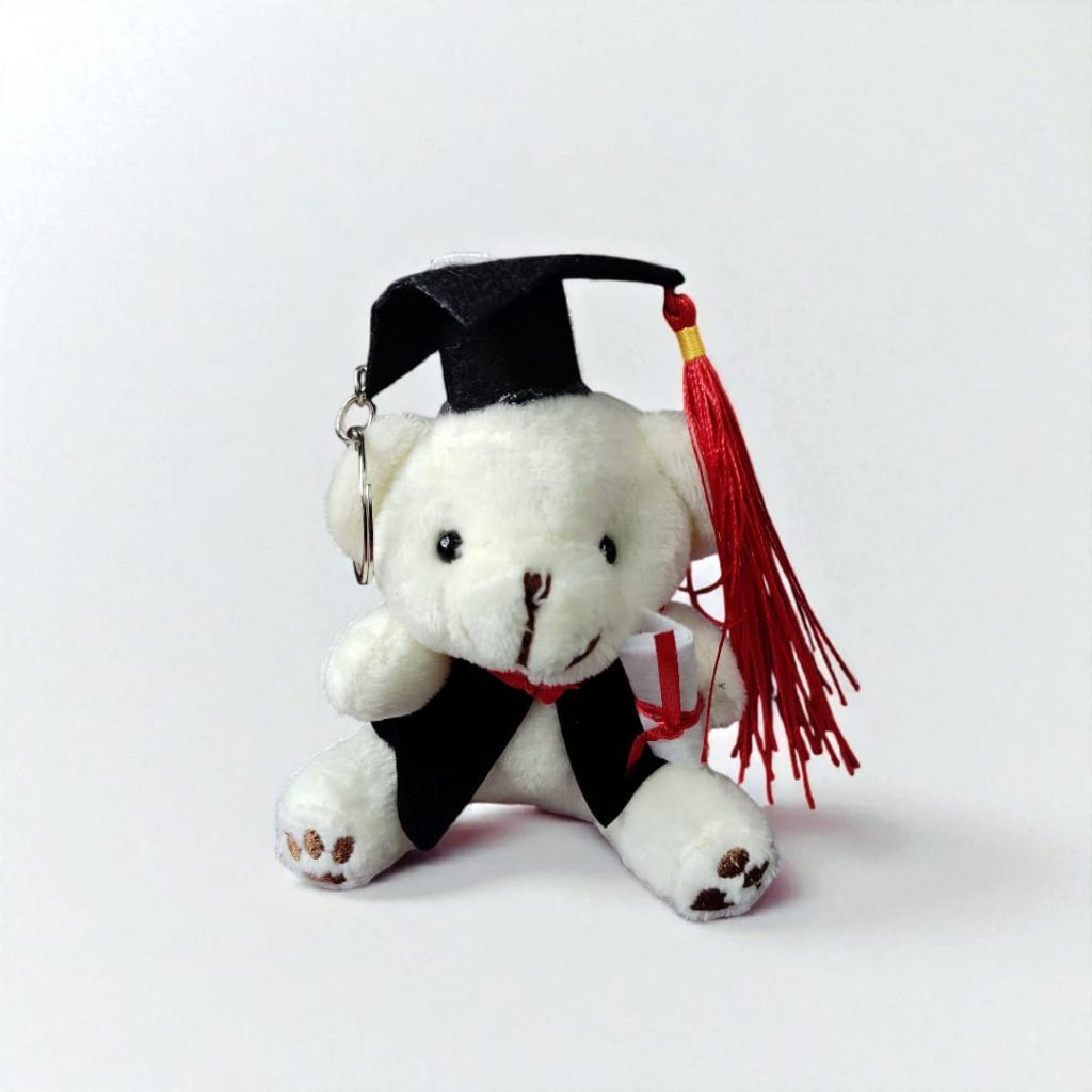 NCBAKMV Oso De Peluche De Graduación – 23 Cm Con Diploma Y Birrete – Regalo De Felicitación Para Exámenes Y Graduaciones