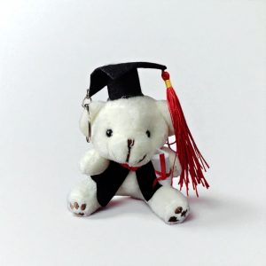 Peluche Oso Graduación 12 cms. con Llavero Unid.