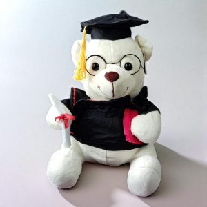 Peluche Oso Graduación 30 Cms. Unidad