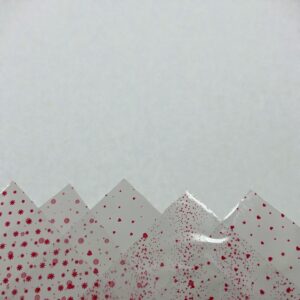 Papel Celofán Transparente Diseños Rojos 10 pliegos surt. 110x70cms