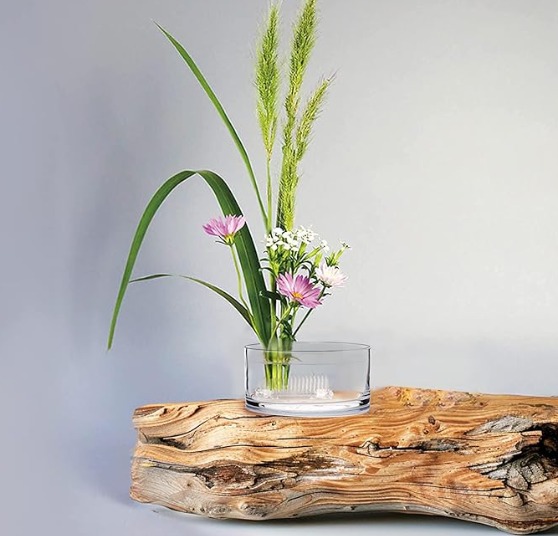 Kenzan (Ikebana) Soporte Ramo Transp. Ventosa 7cm. - Imagen 3