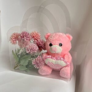 Cartera Transparente Multiuso