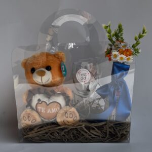 Cartera Transparente Tipo Maletín