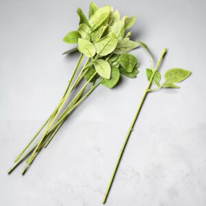 Tallos Verdes con Hojas 10 Unids