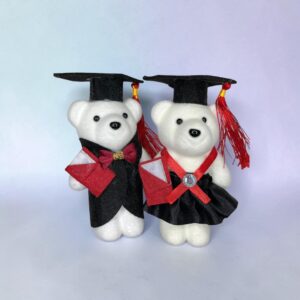 Pack 10 Ositos Plumavit Graduación 13cms